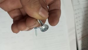 EM FASTENER สกรูเกลียวปล่อย สกรู สกรูเวเฟอร์ หัวเวเฟอร์ 8 x 1 (8 หุน) สกรูเกลียวหุน พร้อมส่ง มีหน้าร้าน สินค้าขายดี น๊อตสกรู ลดค่าส่ง มีส่วนลด จัดโปร