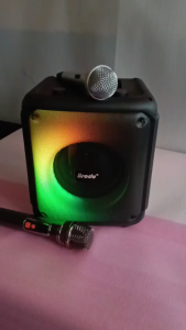 Brodu BTS-2483 6.5inch Portable Bluetooth Speaker