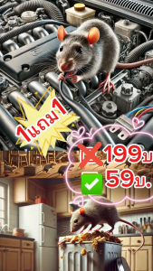 【 ซื้อ 1 แถม 1 】สเปรย์ไล่หนู 500ml ป้องกันหนูกัดสายไฟ ใช้ได้ทั้งในบ้านและรถยนต์ ปลอดภัยต่อผู้ใช้ ไม่มีสารเคมี