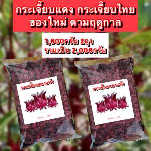 กระเจี๊ยบ2000g กระเจี๊ยบ กระเจี๊ยบแดง กระเจี๊ยบแห้ง กระเจี๊ยบแดงแห้ง กระเจี๊ยบแดงอบแห้ง กระเจี๊ยบแห้งออแกนิค กระเจี๊ยบแดงอบแห้ง กระเจี๊ยบอบแห้ง กระเจี๊ยบออแกนิก กระเจี๊ยบตากแห้ง กระเจี๊ยบแดงตากแห้งปลอดสาร ผลผลิตเกษตร ปลูกเอง  ตากแห้งไร้สารพิษ