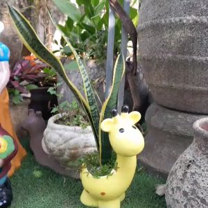 Thiên Thần Chậu-Ếch Chậu- Hươu Chậu – Mèo Chậu - Chậu Trồng Cây Bonsai – Chậu Gốm Sứ Trồng Cây