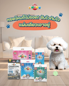 OKIKO โอกิโกะ แผ่นรองซับ สูตรชาร์โคล ประสิทธิภาพการซึมซับ 7 ชั้น สำหรับสุนัข ซึมซับของแหลวได้อย่างดีเยี่ยม ขนาด 45x60 ซม. บรรจุ 50 ชิ้น