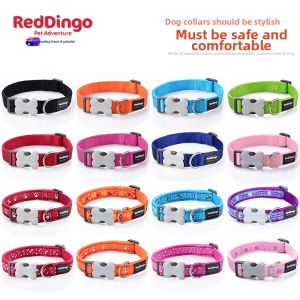 RedDingo Pet Adventure | Pet Dog Collar For Various Sizes