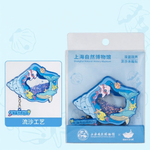 MAODETIANKONGZHICHENG | Magnetic Flux Sand Fridge Magnet Souvenir