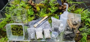 🔥Terrarium DIY Kit with Glass🔥- Terrarium / Garden / Starter Kit / Live Moss / Miniature Garden / Indoor Gardening / Moss for Home Décor / Green Moss / Terrarium Gift / Terrarium Untuk Rumah / Lumut Hidup / Small Glass Terrarium / DIY Moss Terrarium Kit