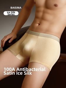 Baisina | Luxurious Antibacterial Silk Underwear for Men Briefs