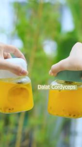 Viên chanh dây chanh leo khô sấy lạnh - Dalat Cordyceps