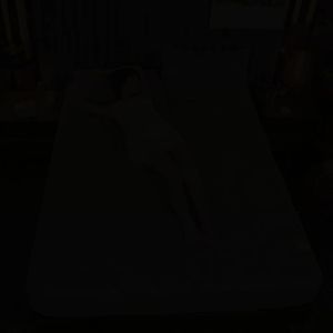 XHOME【Voucher10%off】canadian cotton Thicken Quilted Fitted Bed Sheet cover Mattress Cover with zipper King Queen Single Double size Mattress bedsheet Protector Dustproof Anti-Bacteria Mattress Topper Breathable Bed Pad Cover full cover fully garterized