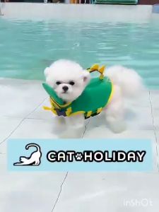 | CatHoliday ชูชีพหมา เสื้อชูชีพสุนัข | ชูชีพหมา เสื้อชูชีพสุนัข |