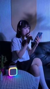 Loa Karaoke  K12 chính hãng có Micro không dây Loa di động đèn RGB giải trí tiệc tùng ngoài trời tại nhà Ruija