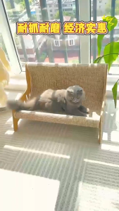 【🔥🔥SG SPOT】3 in 1 Cat Scratcher Bed & Sofa Cat Scratching Board Lounge Chair Durable & Shed-Free Cat Furniture