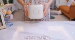 Multifunctional Egg Cook (4 Trays) Egg Boiler Egg Steamer Make Egg Custard and Yogurt 煮蛋器蒸蛋器全自动断电家用迷你煮蛋神器
