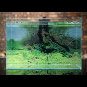 Fish Tank Stickers Three-Dimensional High-Definition Double-Sided Tank Aquarium Color Wallpaper