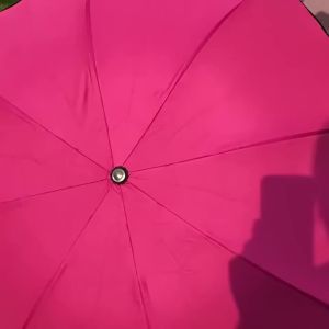 Ô Dù Du Lịch Gấp 3 Khúc Cầm Tay Chống Tia UV Chống Mưa Khung Dù Hoa Văn Dành Cho Người Lớn Đi Du Lịch