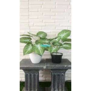 Tanaman Artificial Pohon Hias Daun Sri Rejeki Hijau Tua X9 Pot Dasar & Pot Tawon Dekorasi Meja Tamu Aesthetic