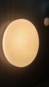 Lunarx Modern Minimalist Ceiling Light Tri-color LED 36W for LivingRoom Bedroom Dining Corridor Area