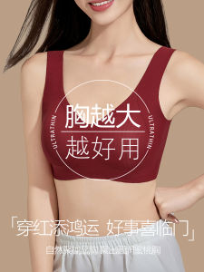 Red plus Size Bra Anti-Sagging Underwear for Plump Women 2025 Snake Year Lucky Year Lift Side Breast Reduction Full Cup Bra