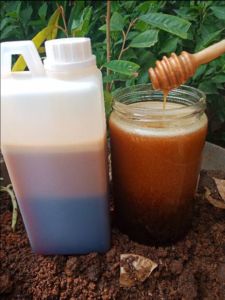MADU MURNI HUTAN SIALANG SUMATERA 1 KG