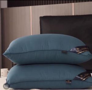 Hilton Hotel Pillow Buy 1 Take 1: Luxury Soft Supportive Pillows