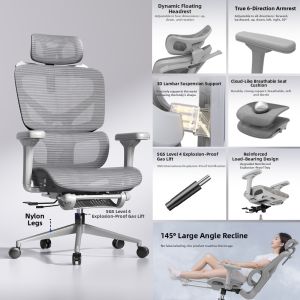 FWTDF | Ergonomic Comfortable Office Learning Chair For Long Sitting