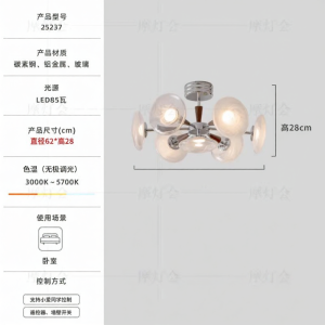 FANCY LAMP CLUB | Designer Luxurious Chandelier