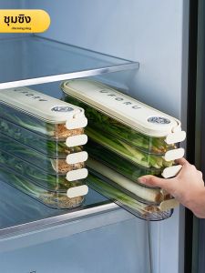 CHUMX | Preservation Food Grade Storage Box For Scallions Cilantro Ginger Garlic