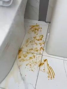 Multi functional magic broom bathroom floor wiper pet hair wet dust household wiper glass cleaner