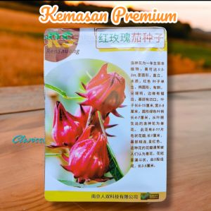 (KEMASAN PREMIUM) BIJI/BENIH TANAMAN HERBAL ROSELLA MERAH ( isi -+150 Butir benih )