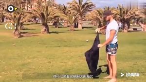 GB-STORE [100% ORIGINAL] portable Outdoor inflatable sofa