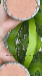 Garam Himalaya 100gr - Natural Himalayan Pink Salt Fine 100% Original Pakistan