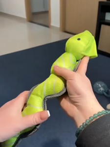 DUDU Pet Catapult Dog Throwing Toy Oxford Cloth Bite Resistant Sturdy Pet Fun Interactive Sound Toy Suitable For Outdoor Walking Training