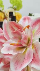 Plant Essential Oil Facial Shoulder Neck Massage Revitalizing Massage Skin Care Moisturizing Conditioning Aromatherapy Single Essential Oil In Stock