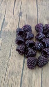 10/20Pcs Red Artificial Fruit Blackberry 2CM Fake Fruit for Home Room Table Decor Wedding Party Supplies DIY Cake Decoration