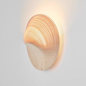RUIDISEN | Zen-inspired Wall Light