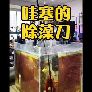 Dao Cạo Rêu Qanvee Q3 - dài 66 cm - chất liệu hợp kim nhôm - Giúp vệ sinh hồ cá thủy sinh dễ dàng