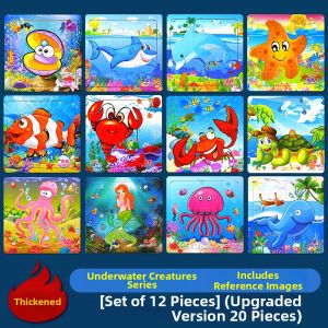 Educational Wooden Puzzle Building Blocks for Kids Ages 2-6