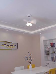 DC Fan Wall Ceiling Fan Dedroom Fan 6-Speed Adjustable Timing Remote Control Fan With Three-color Cighting Fan 22/24/32 inches