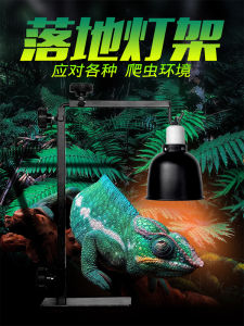 Detachable Hanging Heat Lamp for Land Turtles Lizards And Other Reptiles Pet Supplies Standing Lamp UVB Lighting Cage Accessories