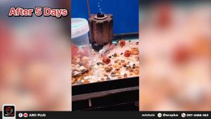 แร่ธาตุรวมสูตรผง High Active