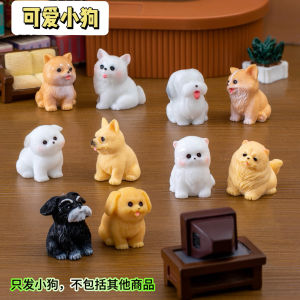 Micro Landscape Creative Cute White Dog Golden Retriever Corgi Shiba Inu Doll Decorations Car Desktop Mini Small Ornaments