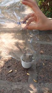 ถุงขนาดใหญ่ ถุงใสไซด์ใหญ่ ถุงใบใหญ่ ถุงร้อนใส PP ไซด์ใหญ่ แพคละ 1 กิโลกรัม