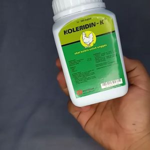 Koleridin K isi 500 Kaplet Tablet Kapsul Obat Ayam Burung CRD Snot Korisa
