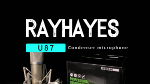 RAYHAYES Condenser Microphone All-metal Strong Compatibility for Professional Recording Musical Creation