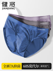 Jianjiang Mens Underwear Briefs Mens Modal Ice Silk Boys Shorts Mens Summer New Arrival Thin Mens Shorts