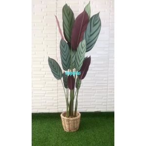 Pohon Artificial Callathea Ungu & Dekorasi Studio Aesthetic