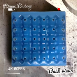 ATLANTA PLASTIC EGG TRAY ML 5 PCS