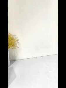 Paint Roller Kuas Cat Tembok Anti Tumpah Smart Paint brush Set Runner Pro Pintar Facil Clever Tray - GP Mall