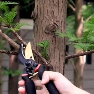 Pruning Shears for Garden Heavy-Duty Garden Clippers Tree Cutter Plant Scissor Gunting Pokok Bunga Pemotong Dahan 剪刀樹枝