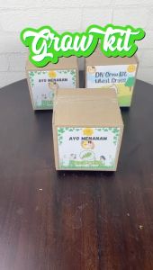 Mainan Edukasi Montessori DIY Berkebun Sayur Souvenir Grow Kit Rumput Kucing Wheat Grass Hampers Ulang Tahun
