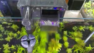 แบบปกติและเทคนิคใหม่เพื่อบ้าน กรองแขวนตู้ปลา ระบบกรองเเละอ๊อกซิเจนตู้ปลา กรองน้ำตู้ปลา กรองแขวนข้างตู้ เครื่องกรองตู้ปลา ทำให้น้ำใสด้วยค